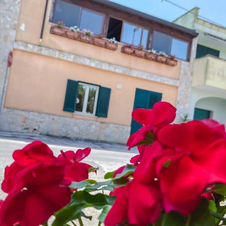 Aparthotel Cortellenica Torre San Giovanni Ugento Luaran gambar